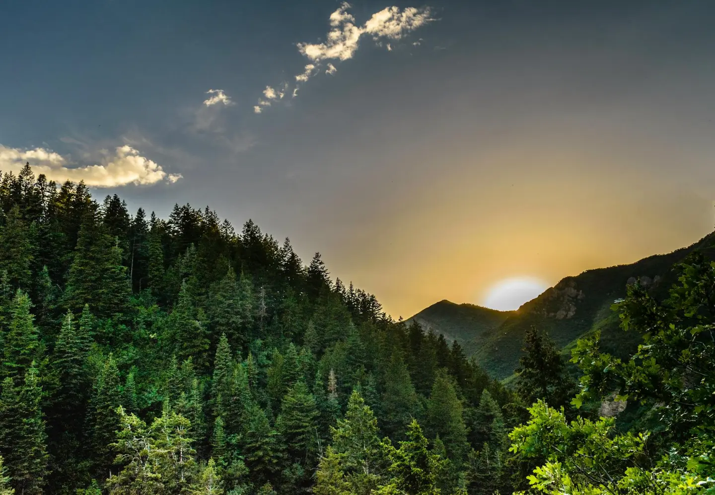 The 5 Unbelievably Great Experiences of Salt Lake City