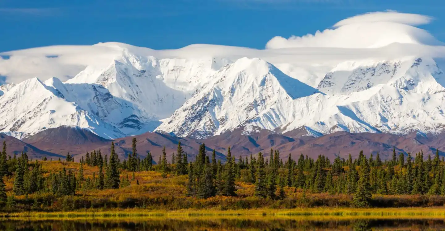 5 Unforgettable Things to Do in Juneau, Alaska