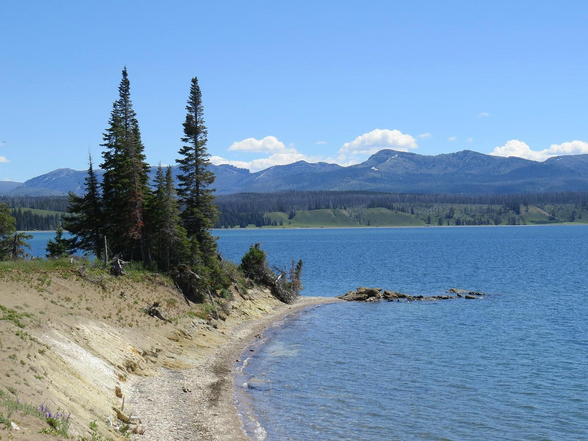 Top 5 Yellowstone Travel Tips You Need To Know